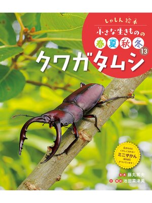 cover image of クワガタムシ１３　しゃしん絵本　小さな生きものの春夏秋冬